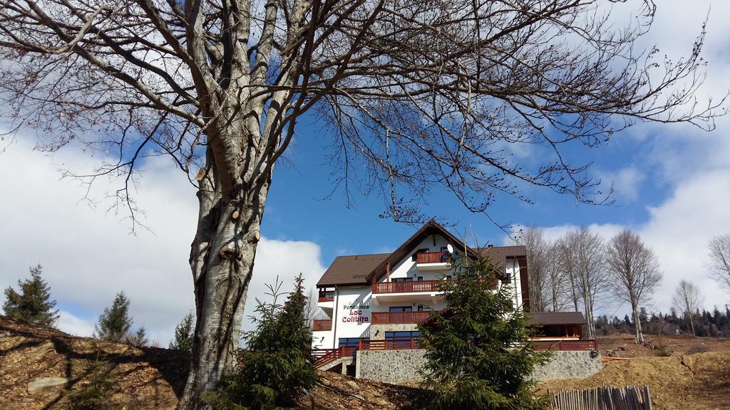 Pensiunea Lac Colibita Exterior photo